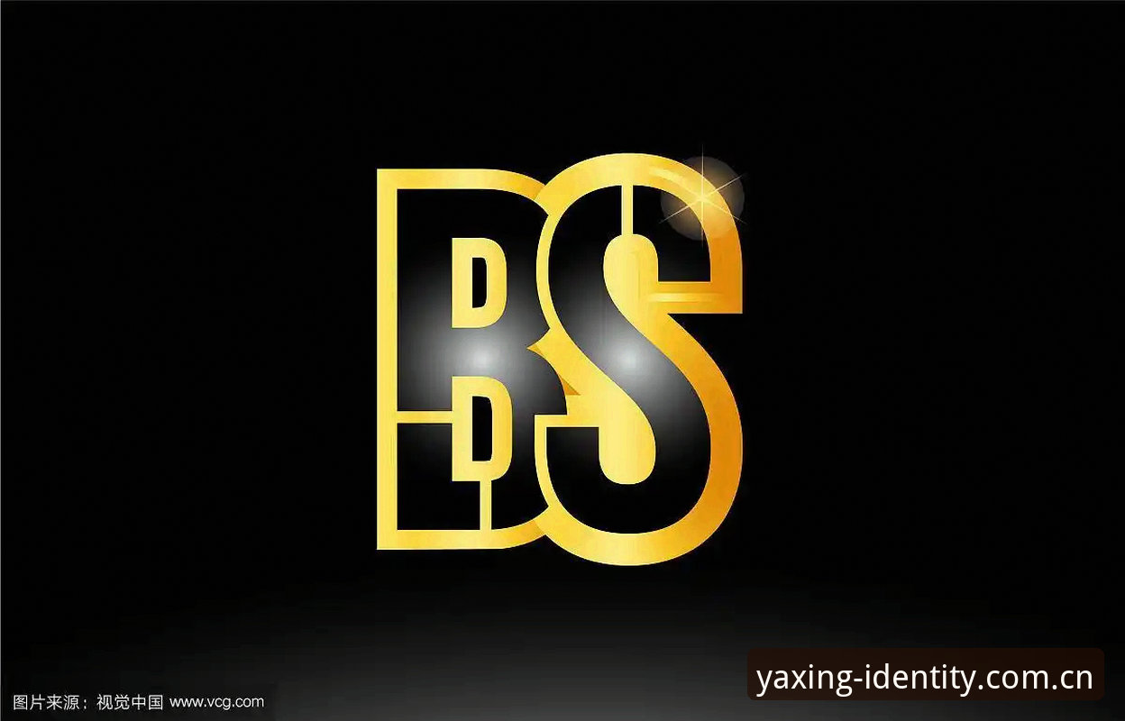 标识再定义BS下载包 揭秘标识再定义BS下载包:用户周女士的踩坑实录,这些细节你不知道的事