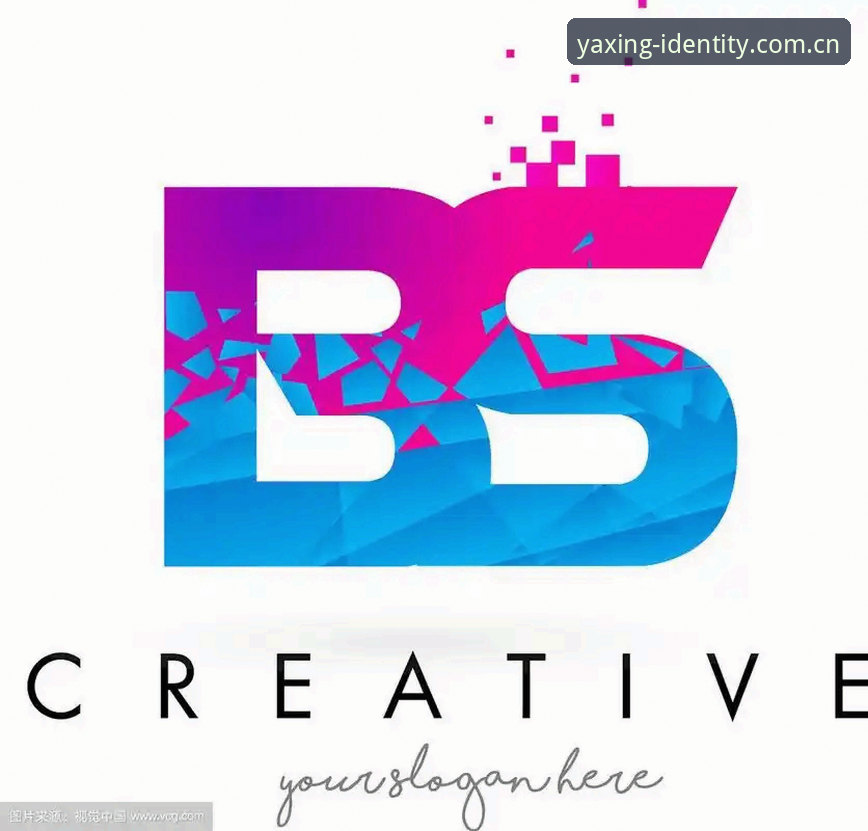 标识再定义BS下载包 揭秘标识再定义BS下载包:用户周女士的踩坑实录,这些细节你不知道的事